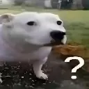 __