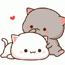 A gray kitten petting a white kitten with red hearts floating above them.