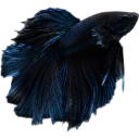 fish8 Discord sticker from 𝒕𝒉𝒆  • 𝚍𝚎𝚎𝚙 𝚎𝚗𝚍