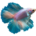fish12 Discord sticker from 𝒕𝒉𝒆  • 𝚍𝚎𝚎𝚙 𝚎𝚗𝚍
