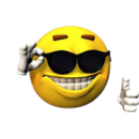 emoji_47 custom emote - dolphin mc