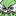 :0MG_WTF: