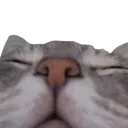 Ahhhhhh