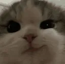 smirk