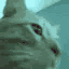 :emoji_36: