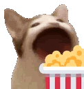 :emoji_45: