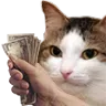 :emoji_71: