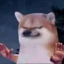 44