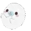 000_rollingseal