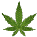 420Baby8 animated Discord emote from Kulture™ 🎃