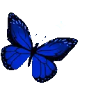 darkbluesparklybutterfly
