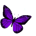 darkpurplesparklybutterfly