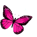 hotpinksparklybutterfly