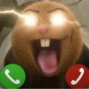kiwi_toilet