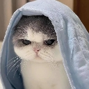 betaqat custom emote | /gotham