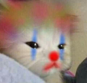 CE_ClownCat Discord emoji