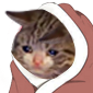 Cat_CozySadBlanket Discord emoji