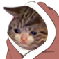 A crying cat wrapped in a brown blanket with a white trim.