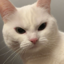 Cat_angry Discord emoji