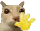 Cat_wave Discord emoji