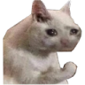 Cat_uglycry Discord emoji