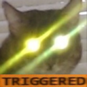 Cat_triggered Discord emoji