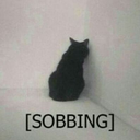 Cat_sobbing Discord emoji