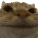 Nono animated emote - kismat™ | Socialize • Voice Calls • Events Friendly • community