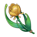 dorado