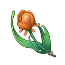 naranja