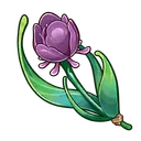 purpura