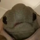 tort_really
