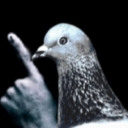 stfu Discord Emoji - The Bardens