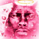 meow custom emote | The Bardens