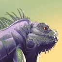 stoiciguana
