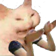CB_catto_angry_why Discord sticker | Chaos Cave