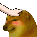 :CB_cheems_pat:
