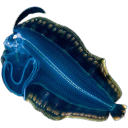 A bioluminescent jellyfish glows with a bright blue light against a dark background.
