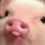iggy2 Discord Emoji | 𝒕𝒉𝒆  • 𝚍𝚎𝚎𝚙 𝚎𝚗𝚍