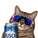 :beer_kitty: