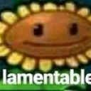 A low-resolution sunflower with a blank expression and the word lamentable written in white text below it.