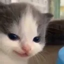 Hehehe