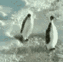 emoji_73 animated GIF emoji from 𝘎𝘦𝘯𝘴𝘩𝘪𝘯 𝘐𝘮𝘱𝘢𝘤𝘵