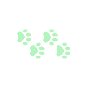 Four small paw prints arranged in a trail, alternating between solid light green and outlined styles.
