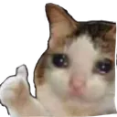 ok Discord Emoji - Lunera Community