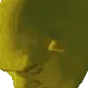 shrekwithrizz