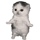 catshaki Discord emoji