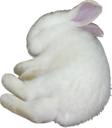 gigi Discord sticker | 𝐿𝑜𝓈𝓉 4𝓇𝒸𝒽𝒾𝓋𝑒𝓈