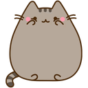 :6347_Lovely_pusheen: