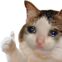 Crying cat with teary eyes giving a thumbs up gesture.